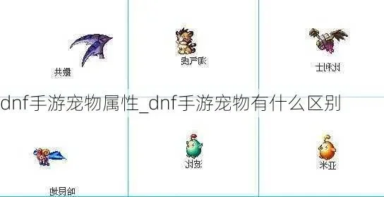 dnf手游宠物系统图-dnf手游宠物系统详解